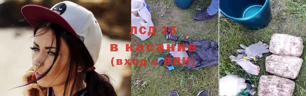 ГАЛЛЮЦИНОГЕННЫЕ ГРИБЫ Верхний Тагил