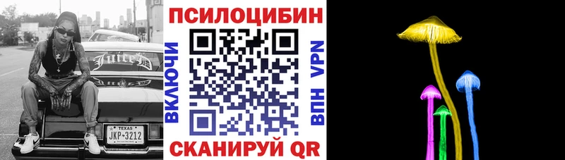 купить   OMG маркетплейс  Псилоцибиновые грибы ЛСД  Воркута 